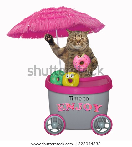 The funny cat is selling donuts at the mini movable pink kiosk. Time to enjoy. Isolated.