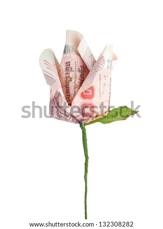 money flower on white background