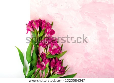 Congratulatory bouquet of red flowers on pink background. Postcard