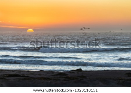Amazing Las Brisas beach an awe sea coastline landscape on a wild environment in Chile. The sun goes down over the infinite horizon while a flock of birds cross the wild idyllic scene over the sea