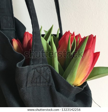 beautiful red tulips, 8 of March, women day, bouquet of flowers