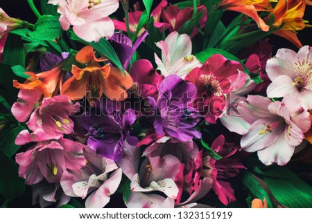 bouquet of exotic flowers in a black back ground Royalty-Free Stock Photo #1323151919