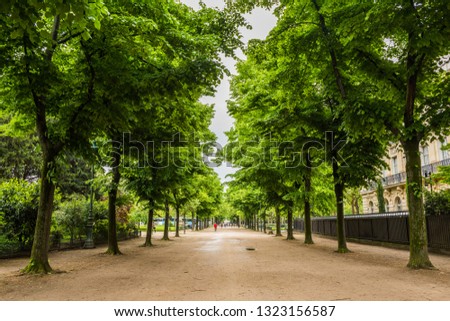 Beautiful garden view with trees near the Eiffel Tower. Paris, France.