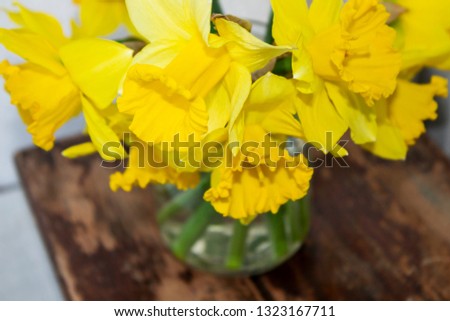 Hi spring. Spring daffodils in a vase. on wooden vintage background