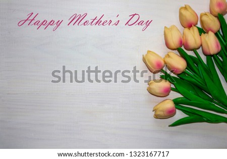 Tulips on a white background. concept of congratulations and holiday