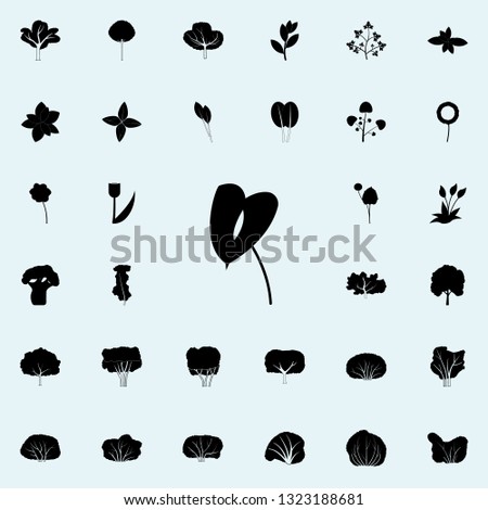 anthurium icon. Plants icons universal set for web and mobile