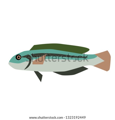 fish flat style illustration. Marine and sea underwater fish series
