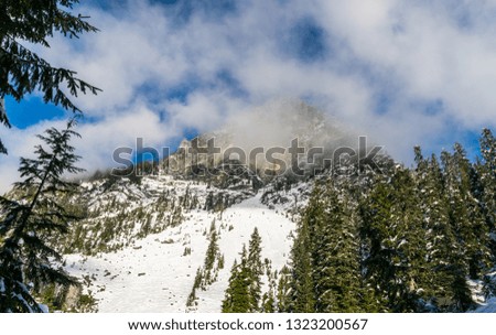 Winter mountain forest with clouds