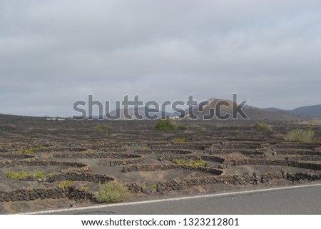 These are some pictures of the island of Lanzarote, one of the seven Canary Islands.