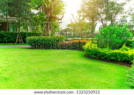 Fresh green Bermuda grass smooth lawn as a carpet with curve form of bush, trees on the background under sunlight morning, good maintenance lanscapes in a luxury house's garden under morning sunlight