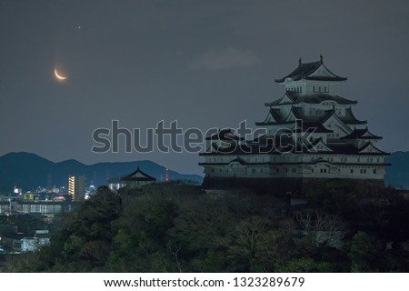 Himeji castle and crescent moon at night