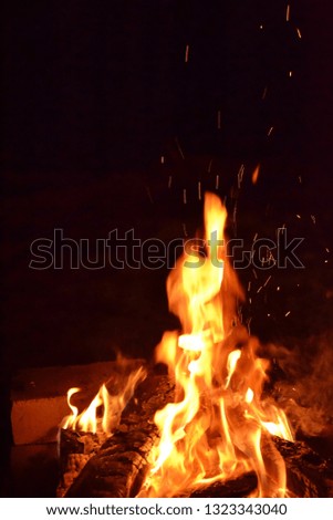 Abstract background: flame of a fire on a black background