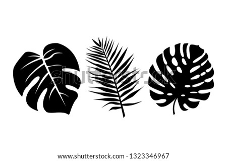 Vector black leaves, white background Royalty-Free Stock Photo #1323346967