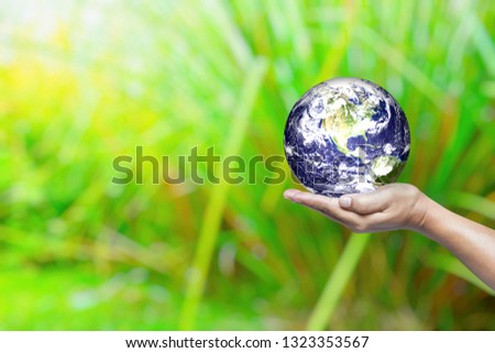 World in Hand and Green Rice Field Background with Space for Text, Suitable for Business and Environment Concept. Elements of this Image Furnished by Nasa.