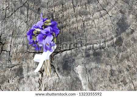Bouquet of violet flowers on wooden background. March 8.