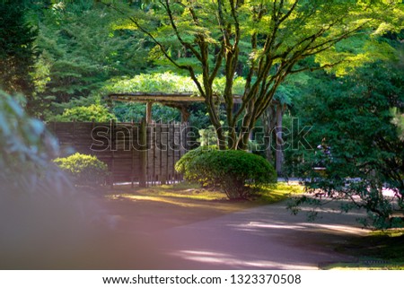 Photography from the Japanese Garden in Portland Oregon.