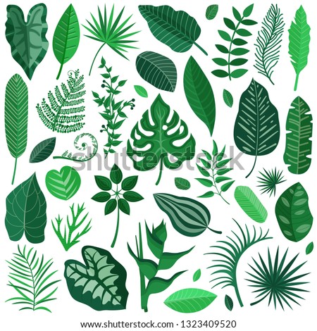 Collection of green tropical leaves, palm tree branches, banana leaf and exotic rainforest leaves in cartoon style. Botanical set with summer Hawaiian paradise plant elements, jungle floral foliage. Royalty-Free Stock Photo #1323409520