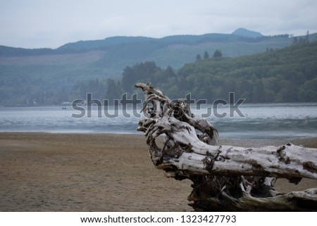 Photography of the Oregon Coast