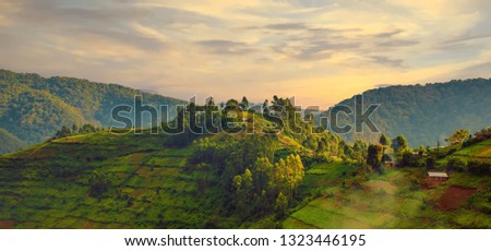 Landscape in southwestern Uganda, at the Bwindi Impenetrable Forest National Park, at the borders of Uganda, Congo and Rwanda. The Bwindi National Park is the home of the mountain gorillas. Royalty-Free Stock Photo #1323446195