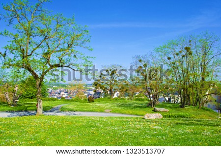 Nice lonely empty small park in Saumur, France. Cut green grass, high trees with young leaves and lush greenery, bright blue sky many white daisies and yellow flowers, gray roofs. Warm spring day