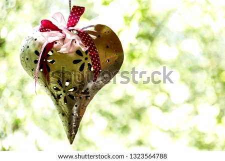 heart on branch, beautiful photo digital picture
