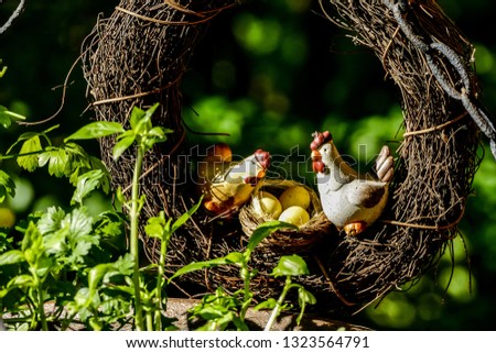 chicks in nest, beautiful photo digital picture