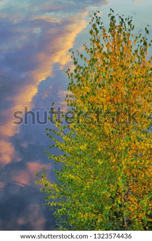 Walk along the pond. Autumn trees and the reflection of the sky create an interesting and bizarre picture that resembles a watercolor palette.