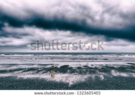 Stormy coastal sea