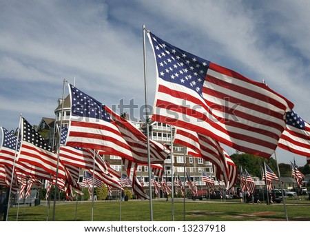 numerous american flags in park