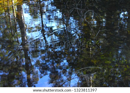 scenic lake in a rain forest with sun reflection 