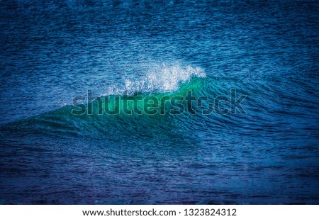 A big wave