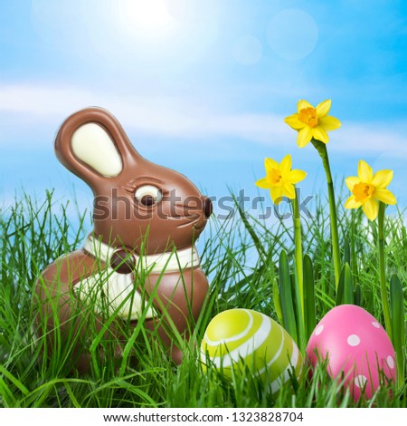 Chocolate bunny sitting on a meadow with Easter eggs