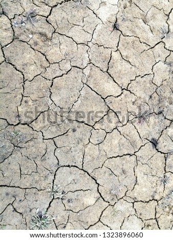 Dry clay soil in the cracks. Texture. Abstract background.