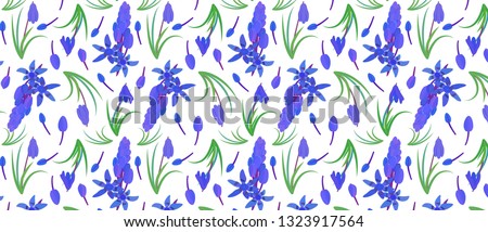 pattern with plant scilla. Siberian Squill (Scilla siberica). spring flower with leaves and stem Isolated vector illustration. 