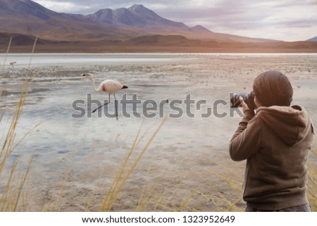 Traveler taking picture flamingo at beautiful landscape view laguna at uyuni Bolivia.