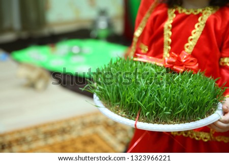 Female's hand in green Semeni . Navruz Nowruz holiday, the spring New Year holiday.