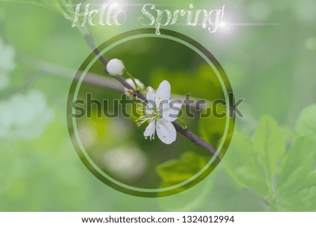 Postcard Hello Spring. Welcome card banner. Spring mood.