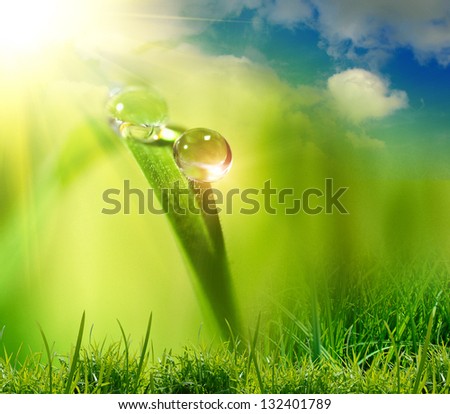 Water drops on the green nature background