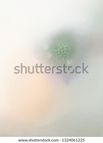 Violet scabiosa in frost filters. Macro flowers soft background
