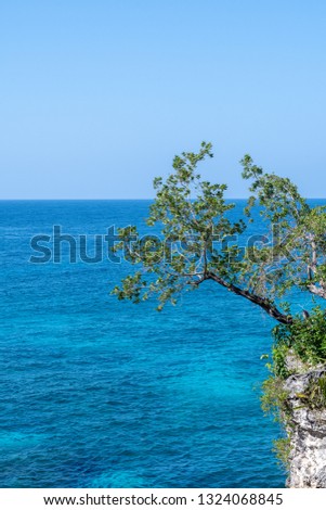 Tropical ocean seascape, leaning tree hanging over cliff. Island coast vacation destination view.