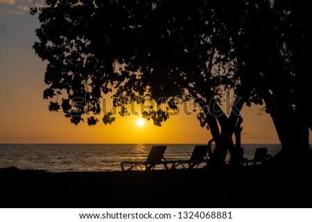 Scenic beach tree sunset silhouette with empty lounge chairs on ocean water and sand. Idyllic tropical Caribbean island vacation destination setting/view. Peaceful evening in Negril, Jamaica.
