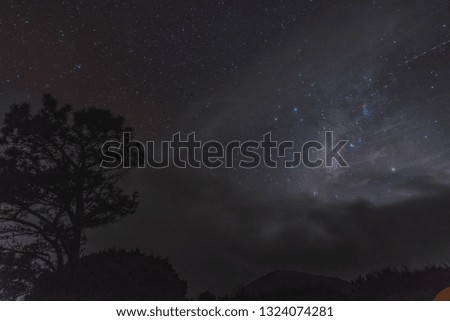 milky way hiding from the clouds and trees