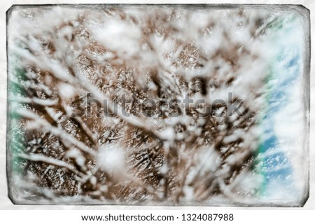 Digital slide film effect flare abstract unique view through branches of trees on a cold winter snowy day with defocused foreground