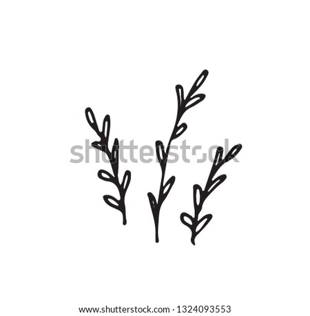 Hand-drawn sketch of a plant, isolated on white background. Abstract summer Vector illustration.