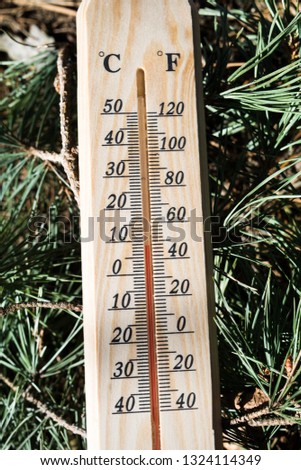 Thermometer shows low temperatures in fahrenheit or celsius with pretty green  colors of coniferous tree in spring.