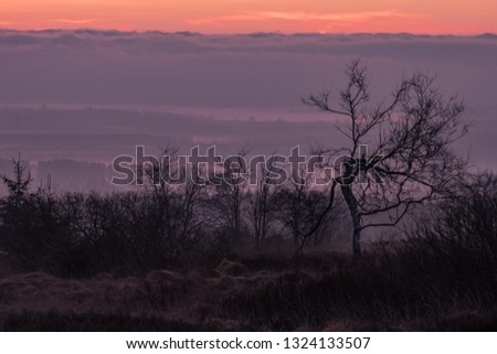 morning sunrise landscape