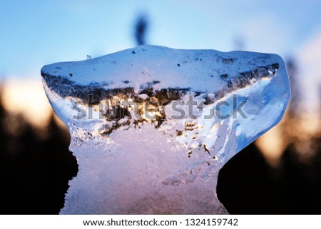Transparent ice on the background of the setting sun behind the blurred forest