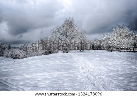dramatic winter snow landscape forest snow on branches