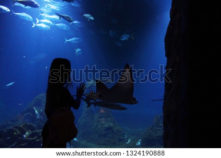 
The girl in the oceanarium looks at the shark and the skate