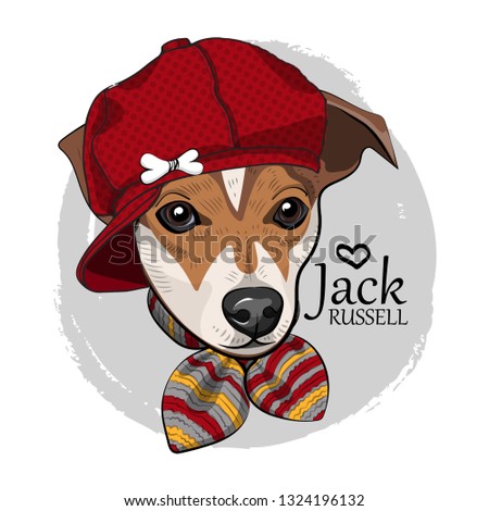 Vector dog with red hat and knitted scarf. Hand drawn illustration of dressed Jack Russell terrier. Vector illustration.